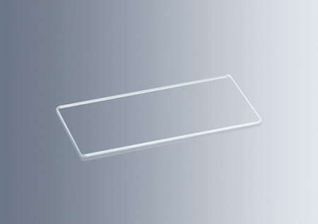 The Microscope Cover Glasses for Counting Chamber Sedgewick-Rafter 60 x 30 x 1mm, ideal for use with counting chambers, are shown on a light gray gradient background.