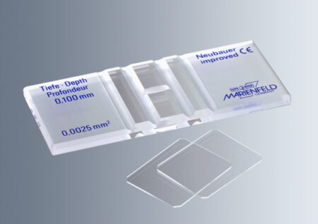 A Counting Chamber Neubauer Improved (Tiefe) with Dark Lines 0.01mm Depth (1/Pack) is displayed with two clear cover slips on a light gray background.