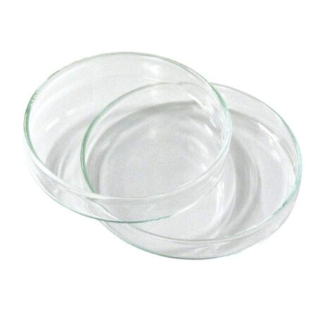 The Petri Dish Glass Borosilicate 60 x 15mm, with its lid partially removed, showcases a clear, empty circular glass container with a flat bottom used in laboratories.
