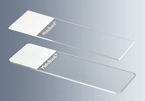 Two rectangular HistoBond® + Microscope Slides, white with 90° ground edges, are displayed on a gradient gray background.
