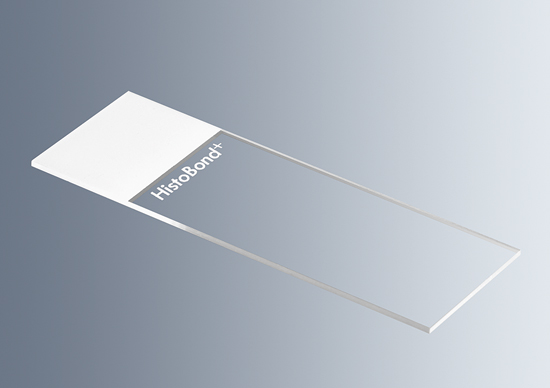 A single HistoBond®+S Microscope Slide, White, with a 90° ground edge is shown against a gradient gray background.
