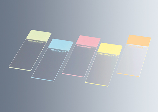 Five HistoBond®+S Microscope Slides, white with 90° ground edge, are arranged in a row on a gradient gray background.