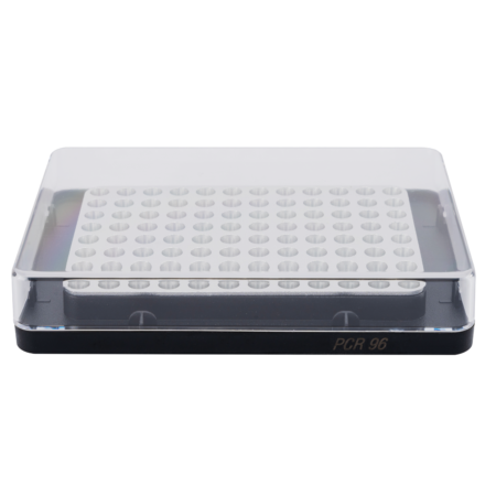 Clear plastic 96-well PCR plate with lid, used for laboratory experiments and sample analysis.