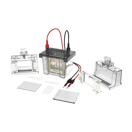 Clear electrophoresis gel box kit with electrodes, glass plates, and accessories displayed on a white background.