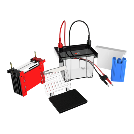 Electrophoresis gel box kit with cables, gel casting tray, red and black combs, buffer tank, and accessories on a white background.