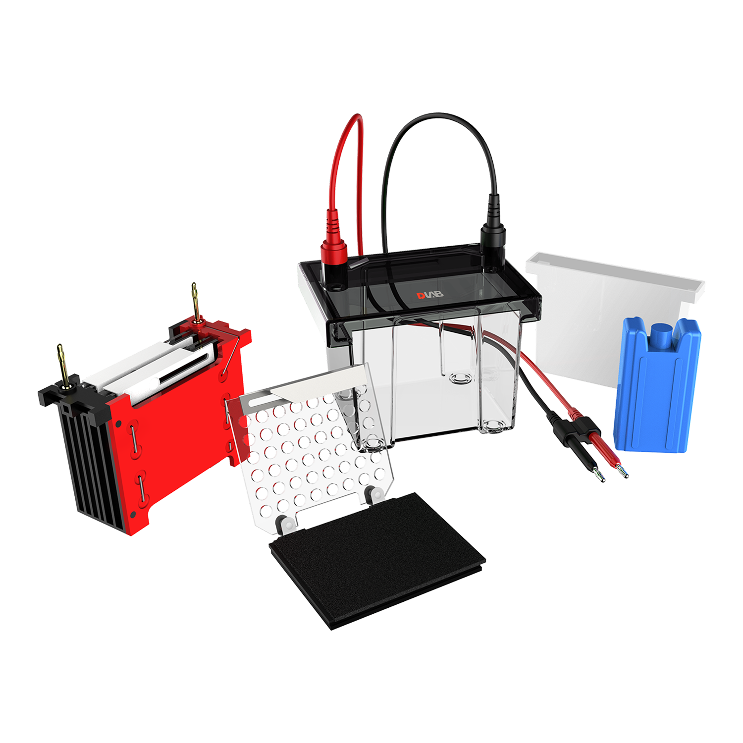 Electrophoresis gel box kit with cables, gel casting tray, red and black combs, buffer tank, and accessories on a white background.