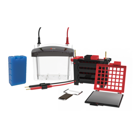 Electrophoresis gel box kit with tank, electrodes, gel trays, combs, buffer tank, and accessories arranged on a white background.