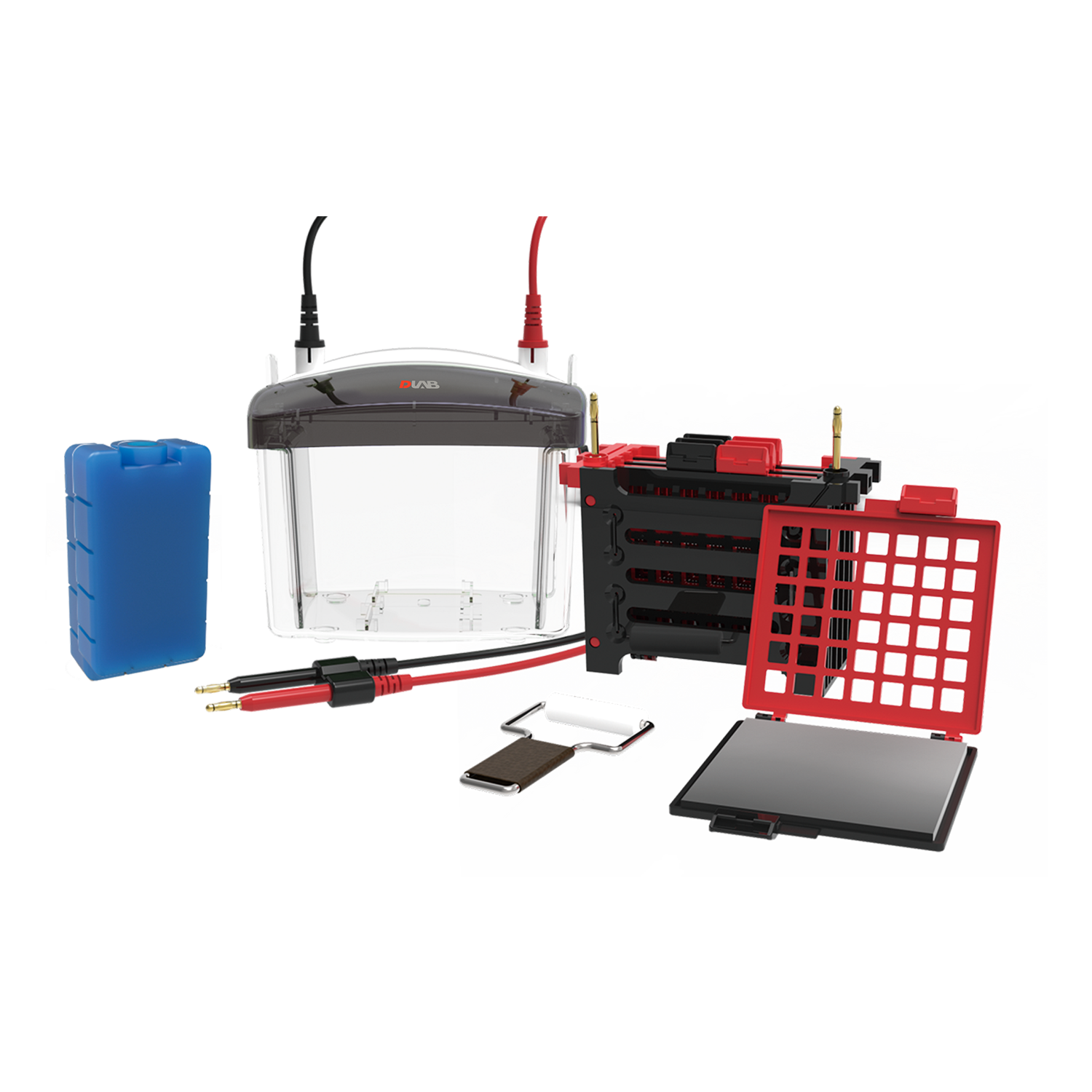 Electrophoresis gel box kit with tank, electrodes, gel trays, combs, buffer tank, and accessories arranged on a white background.