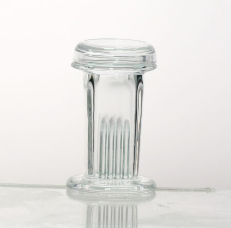 A 5-place glass staining jar with a glass lid (non screw type), suitable for holding 25.0 x 75.0mm (1 x 3 inch) microscope slides, stands upright on a reflective surface against a plain white background.